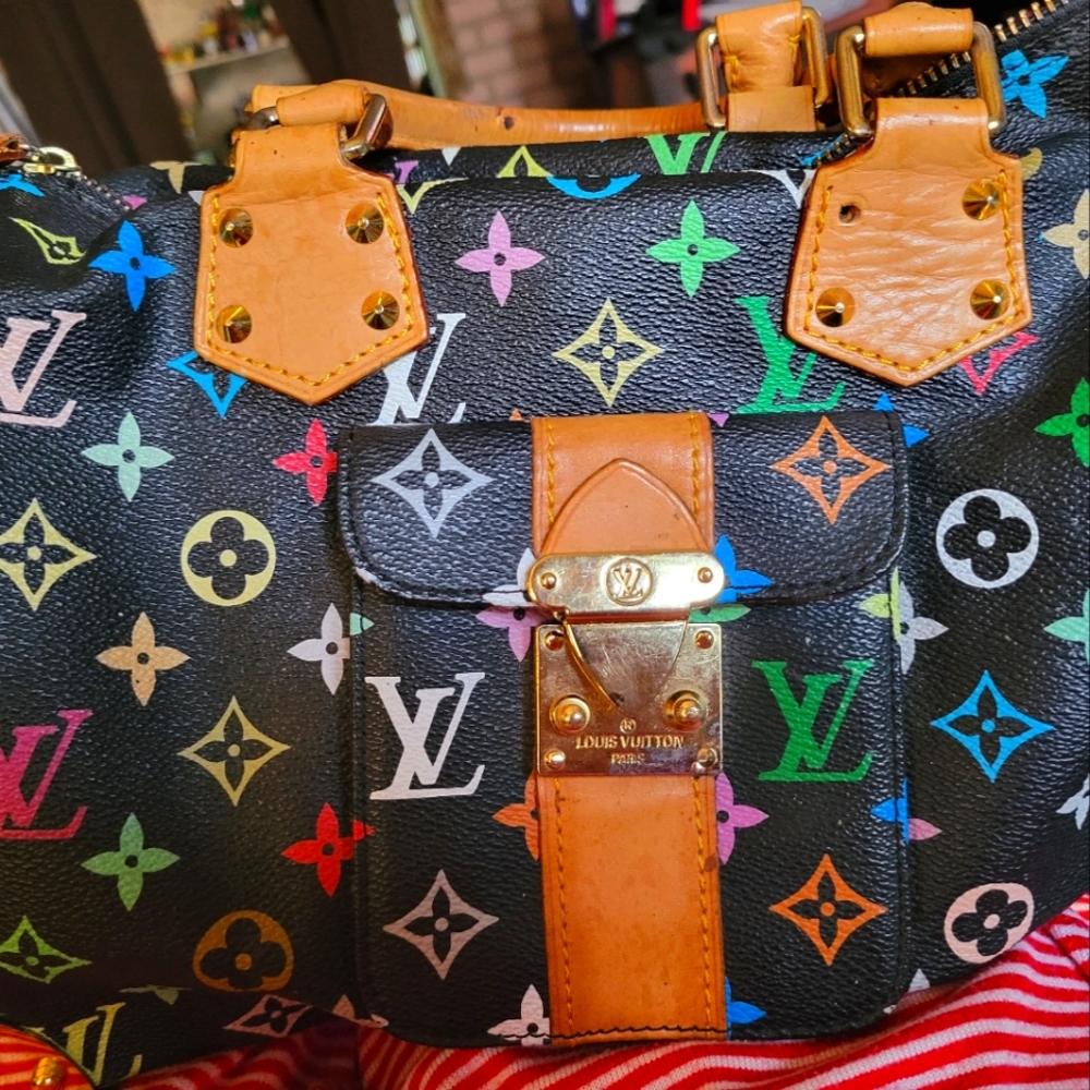 Louis vuitton purse
